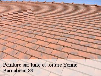 Peinture sur tuile et toiture Yonne 