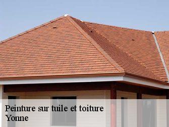 Peinture sur tuile et toiture Yonne 
