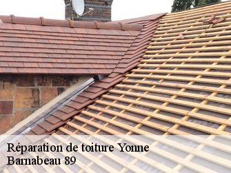 Réparation de toiture Yonne 