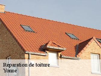 Réparation de toiture Yonne 