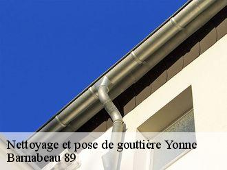 Nettoyage et pose de gouttière 89 Yonne  Barnabeau 89