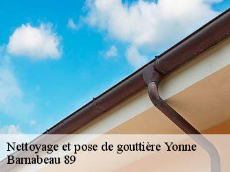 Nettoyage et pose de gouttière Yonne 