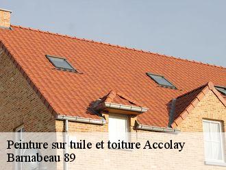 Peinture sur tuile et toiture  accolay-89460 Barnabeau 89