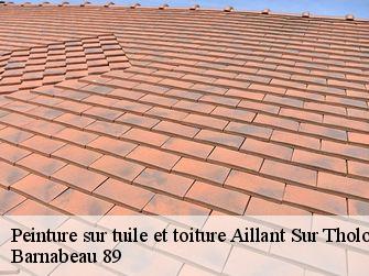 Peinture sur tuile et toiture 89110