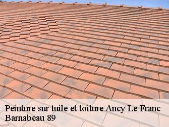 Peinture sur tuile et toiture  89160