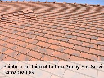 Peinture sur tuile et toiture 89310