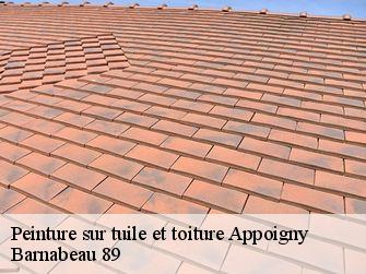 Peinture sur tuile et toiture 89380