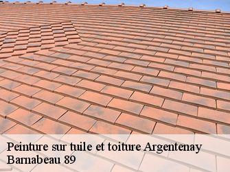Peinture sur tuile et toiture 89160