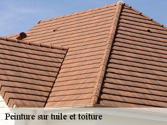 Peinture sur tuile et toiture