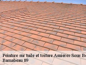 Peinture sur tuile et toiture  89660