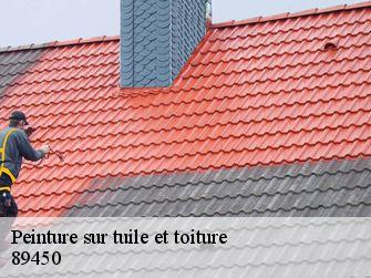 Peinture sur tuile et toiture  89450