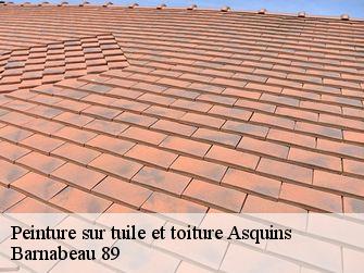 Peinture sur tuile et toiture  89450