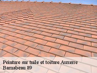 Peinture sur tuile et toiture  89000