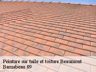 Peinture sur tuile et toiture  89250