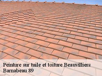 Peinture sur tuile et toiture  89630