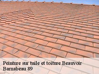 Peinture sur tuile et toiture  89240