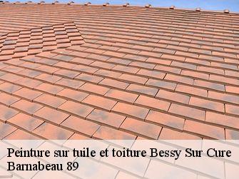 Peinture sur tuile et toiture  89270