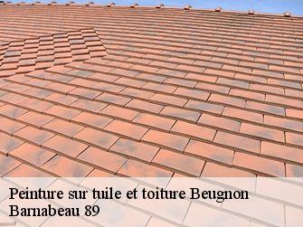 Peinture sur tuile et toiture  89570