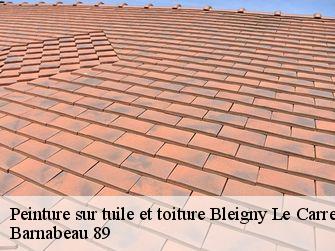 Peinture sur tuile et toiture 89230