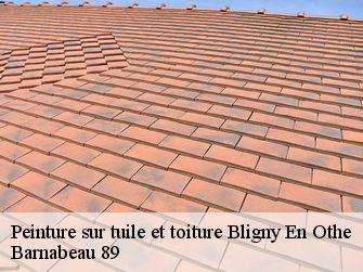 Peinture sur tuile et toiture 89210