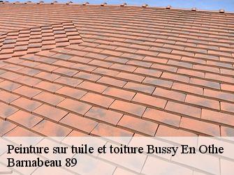 Peinture sur tuile et toiture  89400