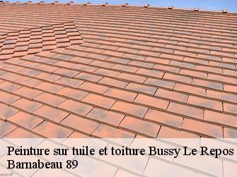 Peinture sur tuile et toiture  89500