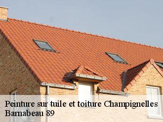Peinture sur tuile et toiture  champignelles-89350 Barnabeau 89
