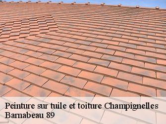 Peinture sur tuile et toiture  89350