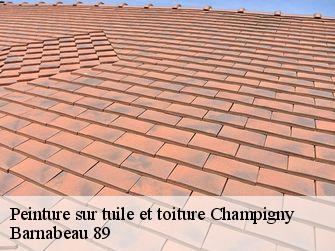 Peinture sur tuile et toiture 89370