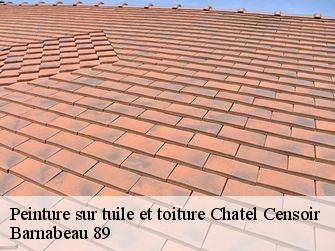 Peinture sur tuile et toiture 89660