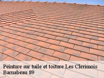 Peinture sur tuile et toiture 89190