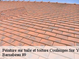Peinture sur tuile et toiture 89480
