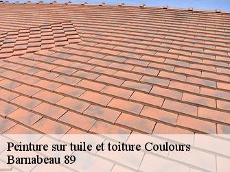 Peinture sur tuile et toiture  89320