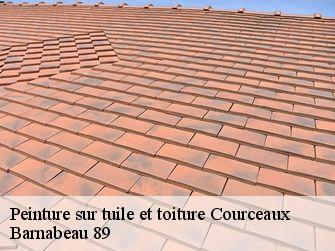 Peinture sur tuile et toiture  89260