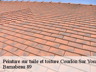 Peinture sur tuile et toiture 89140