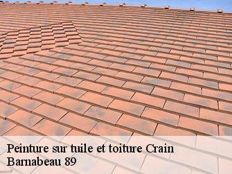 Peinture sur tuile et toiture 89480