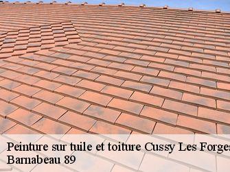 Peinture sur tuile et toiture  89420