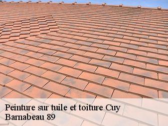 Peinture sur tuile et toiture 89140