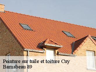 Peinture sur tuile et toiture  cuy-89140 Barnabeau 89