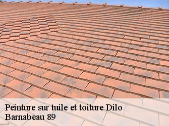 Peinture sur tuile et toiture  89320