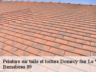 Peinture sur tuile et toiture 89200
