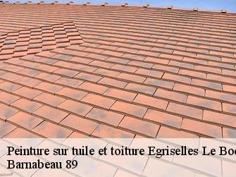 Peinture sur tuile et toiture  89500