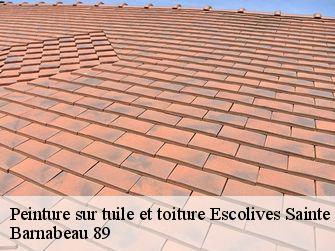 Peinture sur tuile et toiture 89290