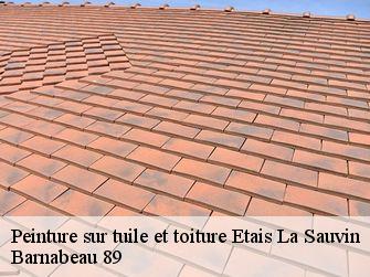 Peinture sur tuile et toiture 89480