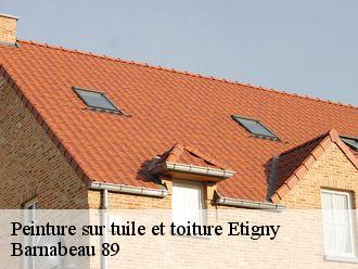 Peinture sur tuile et toiture  etigny-89510 Barnabeau 89