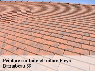 Peinture sur tuile et toiture 89800
