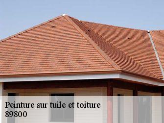 Peinture sur tuile et toiture 89800