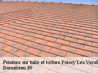 Peinture sur tuile et toiture  89450