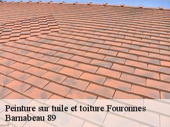 Peinture sur tuile et toiture  89560