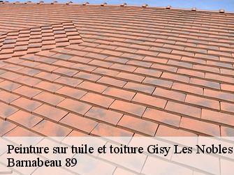 Peinture sur tuile et toiture  89140